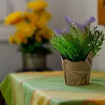 Angel's Apartamento *